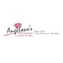 Angelone's Florist & Flower Delivery logo